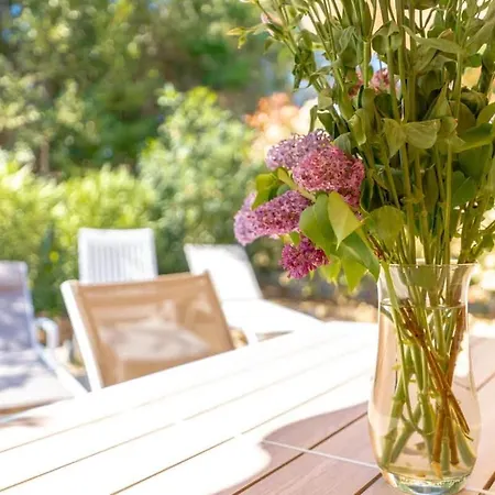 Hébergement de vacances Le L Pool&beachside L Shellter *